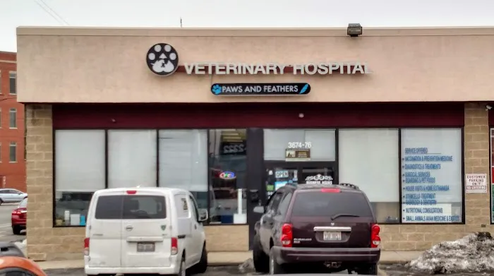 Paws and Feathers Veterinary Clinic and Emergency Hospital Picture 2