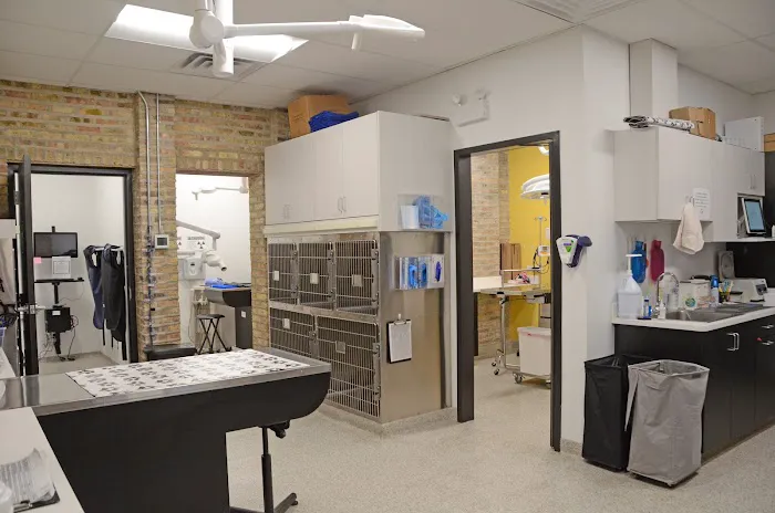 Oz Animal Hospital Rogers Park Picture 9