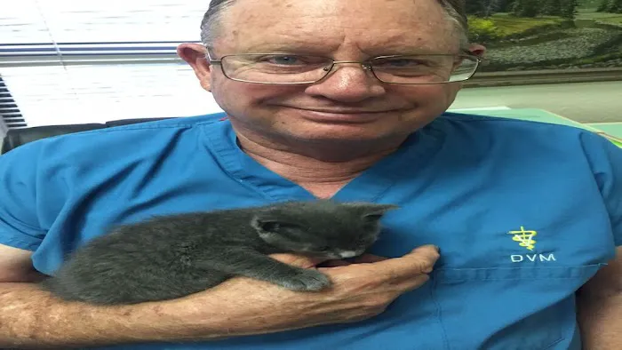 Americas Animal Clinic Picture 4