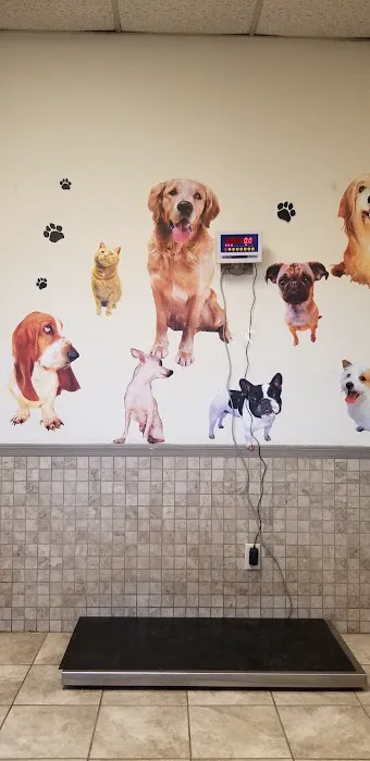 Americas Animal Clinic Picture 3