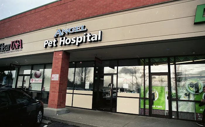 Angel Pet Hospital Picture 5