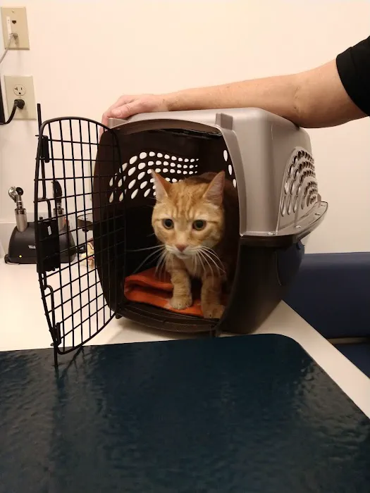 Woodhaven Veterinary Clinic Picture 1