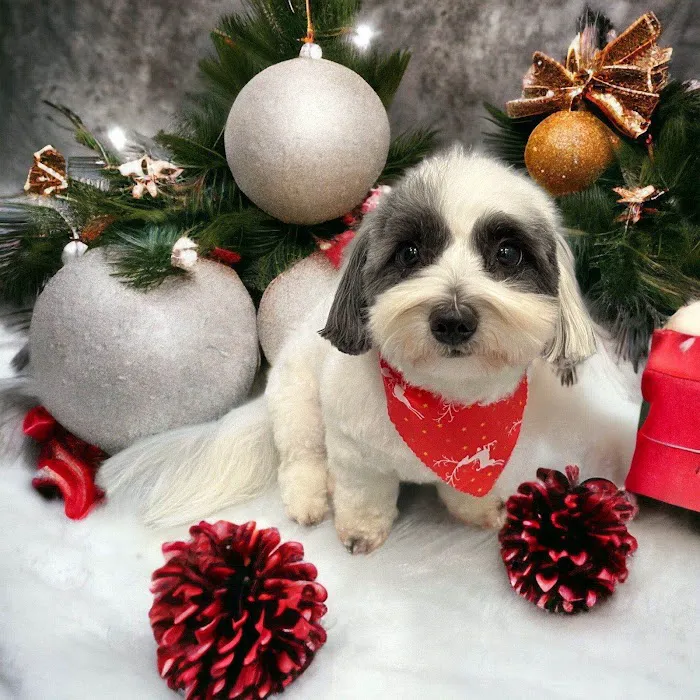 Woodhaven Veterinary Clinic Picture 10