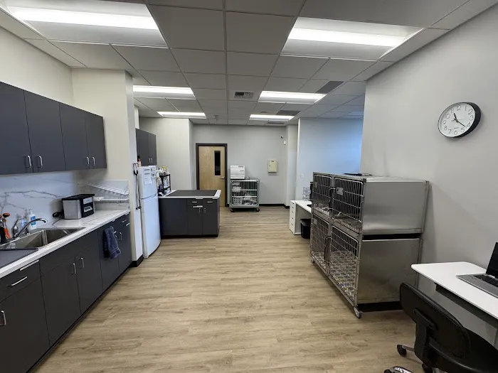 Kestrel Veterinary Hospital Picture 5