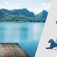 Bothell Pet Hospital ico