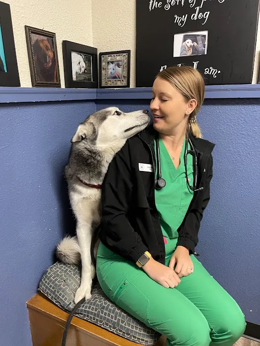 Bothell Pet Hospital Picture 5
