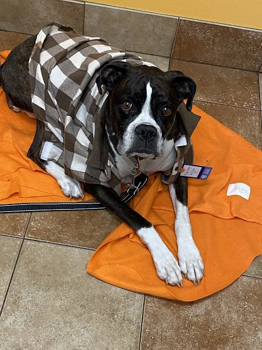 Banfield Pet Hospital Picture 2