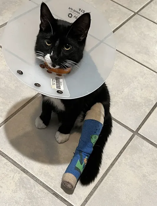 Banfield Pet Hospital Picture 3