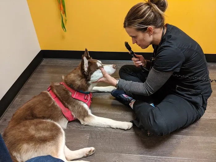 Banfield Pet Hospital Picture 9