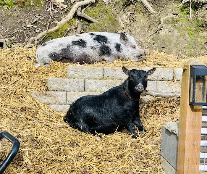 Twin Pines Animal Hospital Picture 8