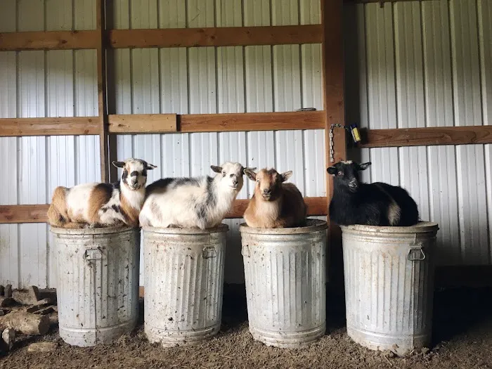 Twin Pines Animal Hospital Picture 10