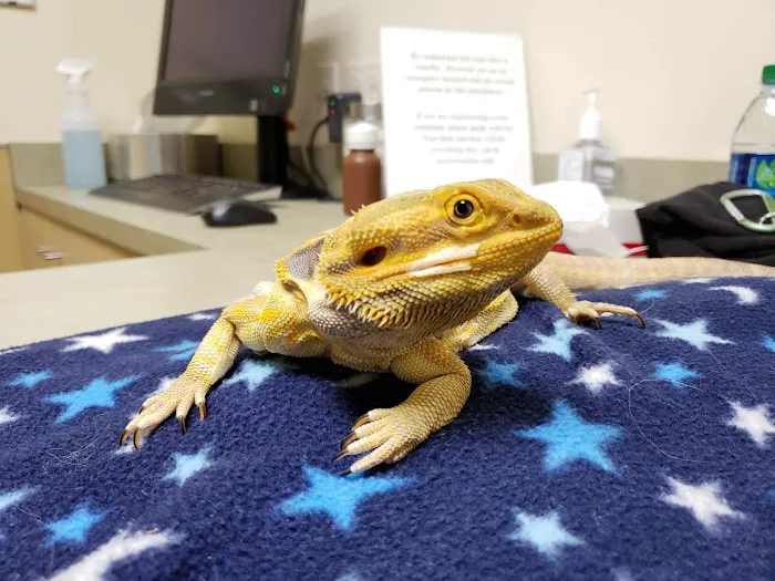 Center for Bird and Exotic Animal Medicine Picture 2