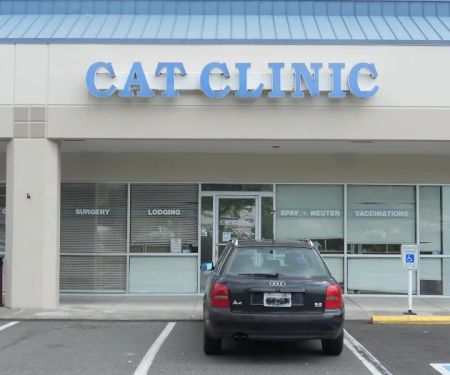 Cat Clinic At Canyon Park