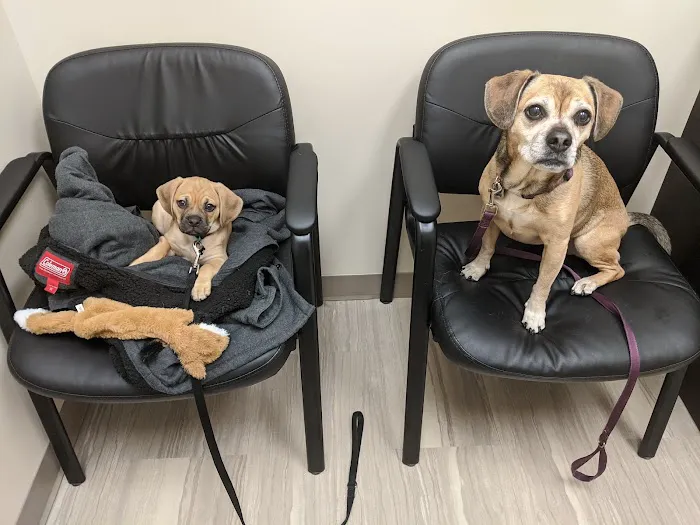 Cedar Plaza Veterinary Clinic Picture 3