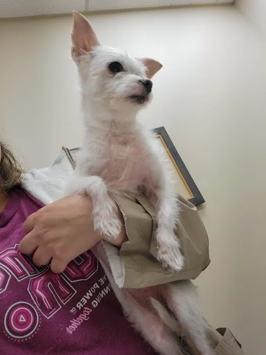 Cedar Plaza Veterinary Clinic Picture 6