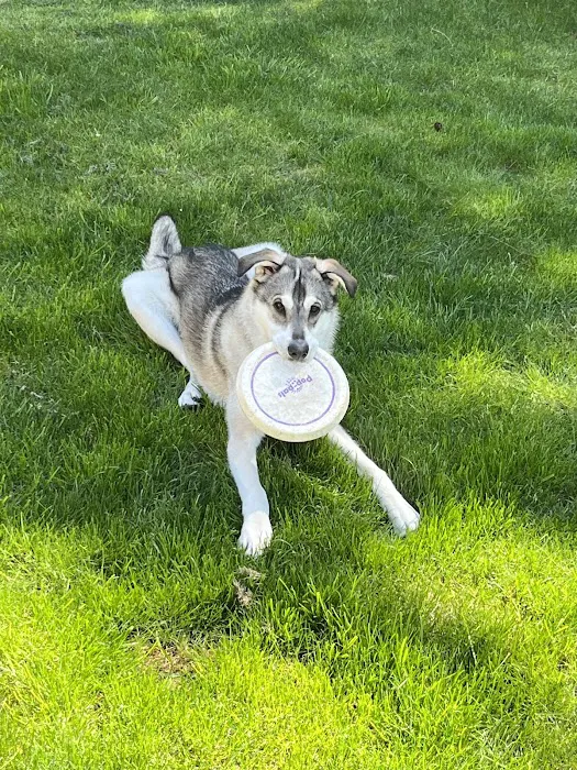 Brier Veterinary Hospital Picture 9