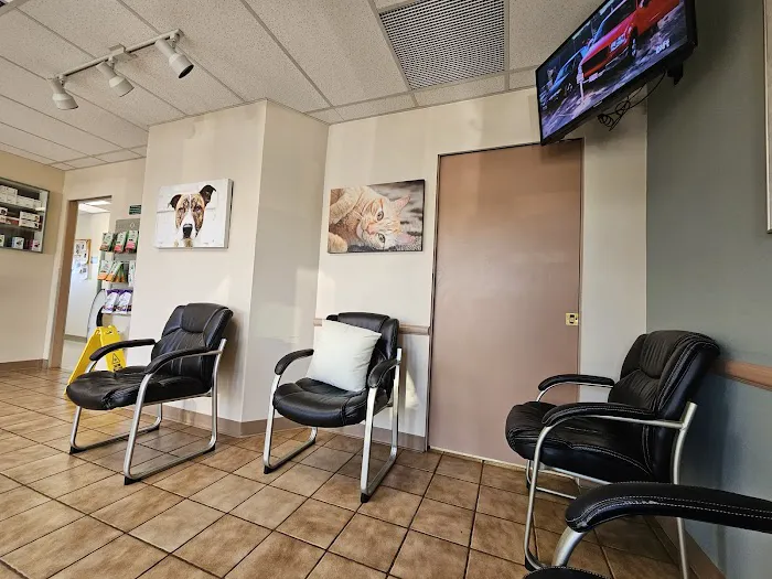 Evergreen Veterinary Hospital Picture 2