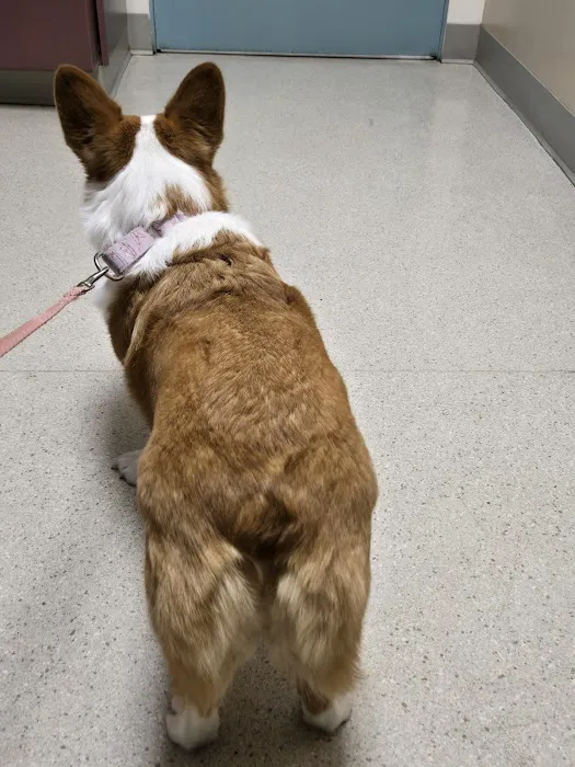 Evergreen Veterinary Hospital Picture 4