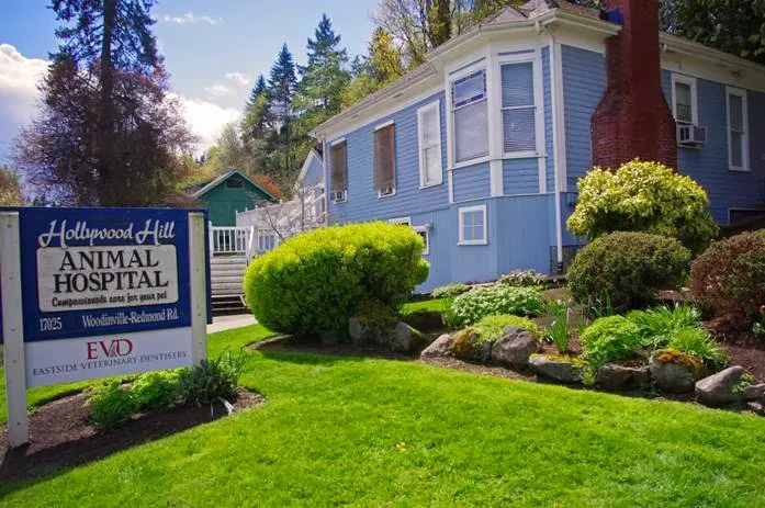Hollywood Hill Animal Hospital Picture 6