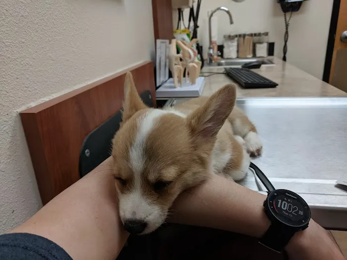 Banfield Pet Hospital Picture 4
