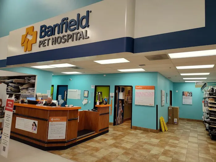 Banfield Pet Hospital Picture 10