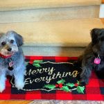 Woodinville Animal Hospital