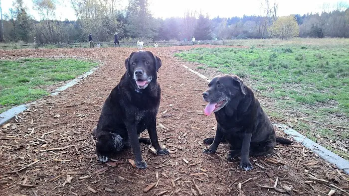 Woodinville Animal Hospital Picture 2