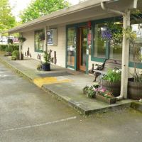 VCA Sno-Wood Animal Hospital ico