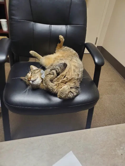 Edmonds Veterinary Hospital Picture 4