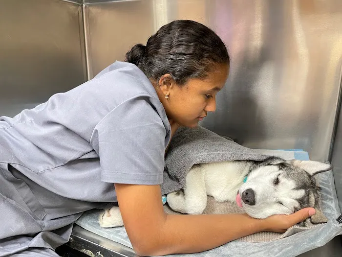 VetCheck Animal Hospital Picture 7