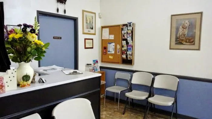 Animal Clinic of La Mirada Picture 4