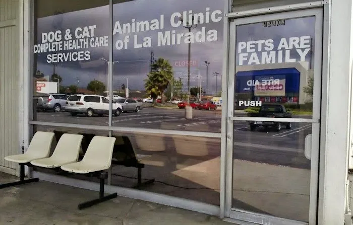 Animal Clinic of La Mirada Picture 8