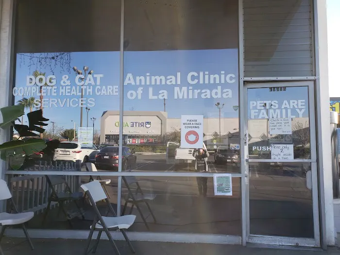 Animal Clinic of La Mirada Picture 1