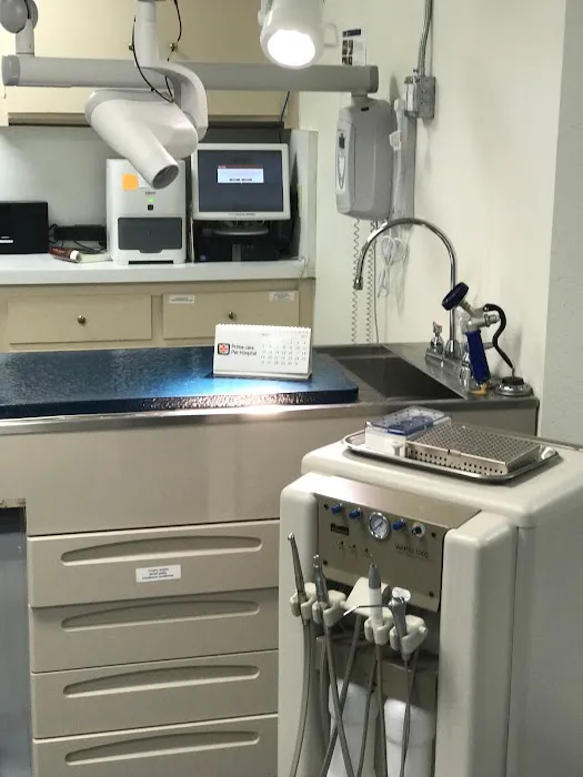 Prime Care Pet Hospital Picture 10