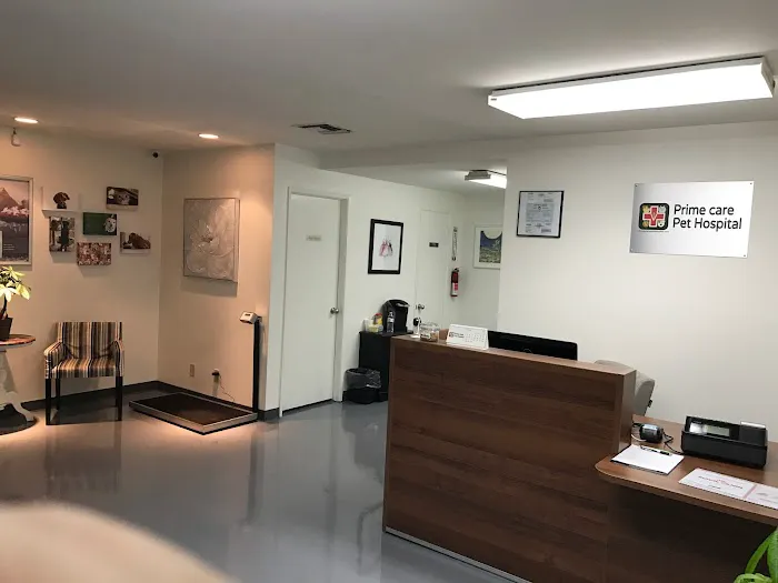 Prime Care Pet Hospital Picture 3