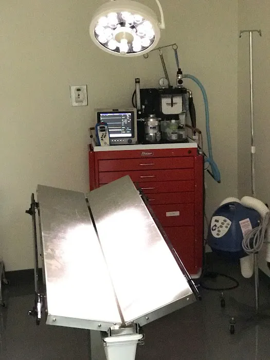Prime Care Pet Hospital Picture 5