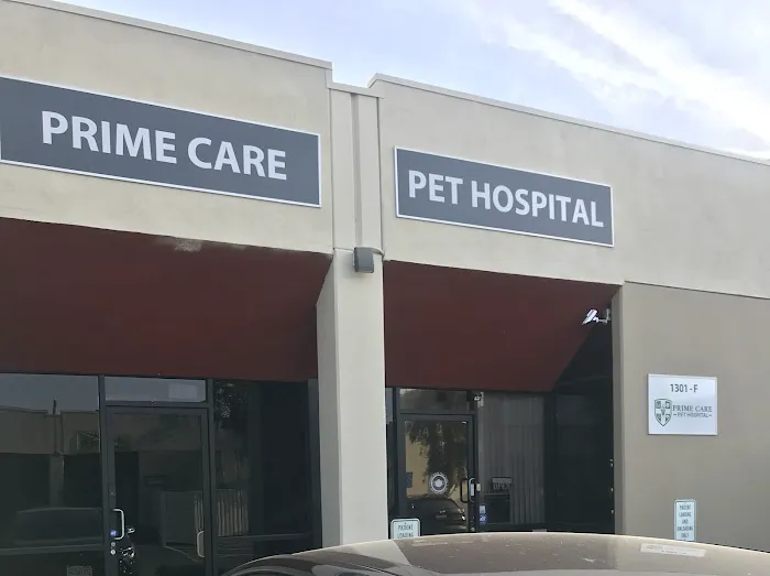Prime Care Pet Hospital Picture 4