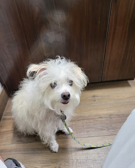 County Line Animal Hospital Picture 4