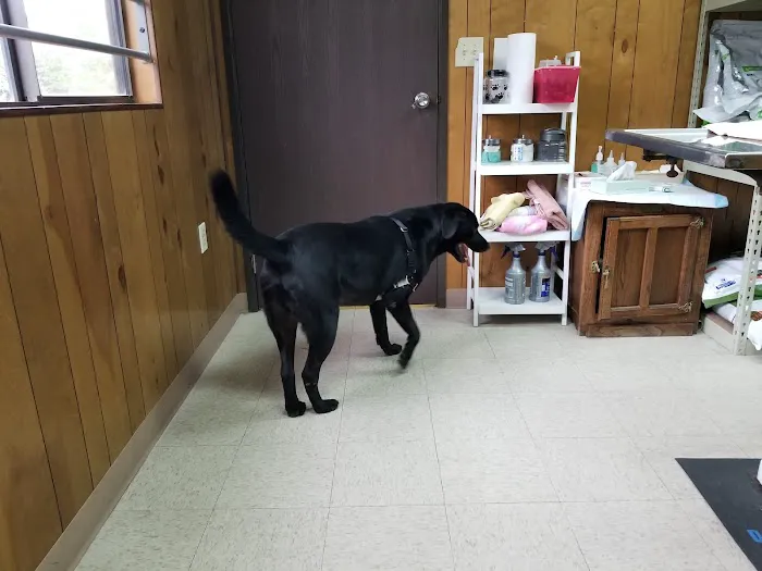 County Line Animal Hospital Picture 3