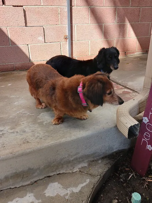 Greggs Animal Hospital Inc Picture 3
