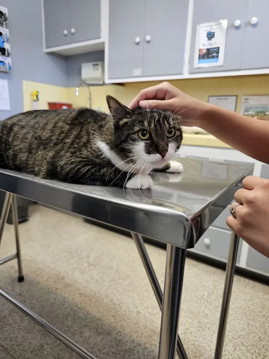 Greggs Animal Hospital Inc Picture 4