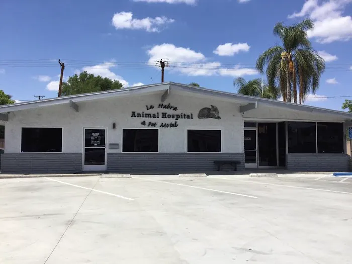 La Habra Animal Hospital Picture 6