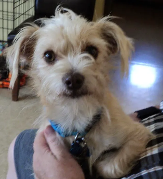 La Habra Animal Hospital Picture 5