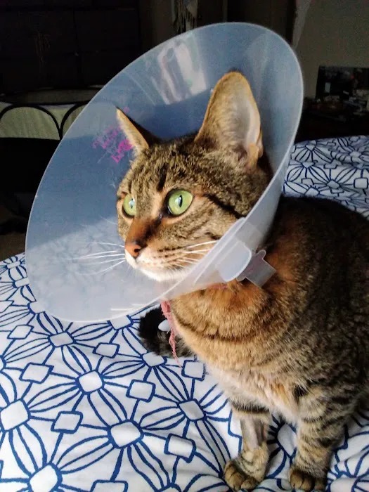 La Habra Animal Hospital Picture 7
