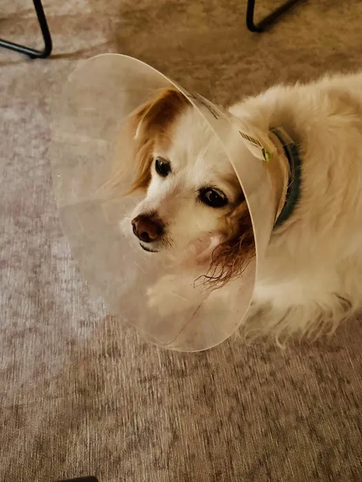Sunny Hills Veterinary Hospital Picture 10