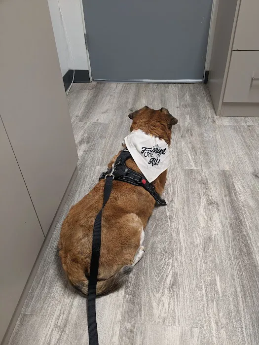 Sunny Hills Veterinary Hospital Picture 8