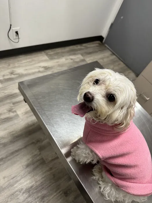 Sunny Hills Veterinary Hospital Picture 3