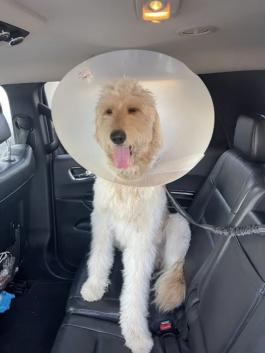 Sunny Hills Veterinary Hospital Picture 2