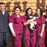 Sunny Hills Veterinary Hospital ico