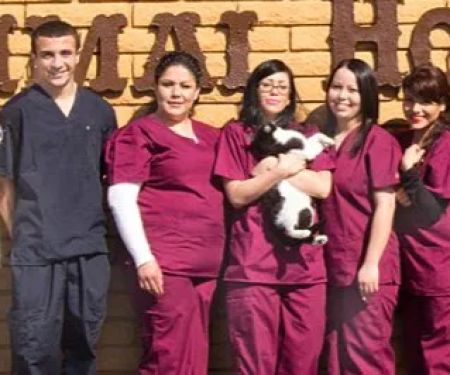 Sunny Hills Veterinary Hospital